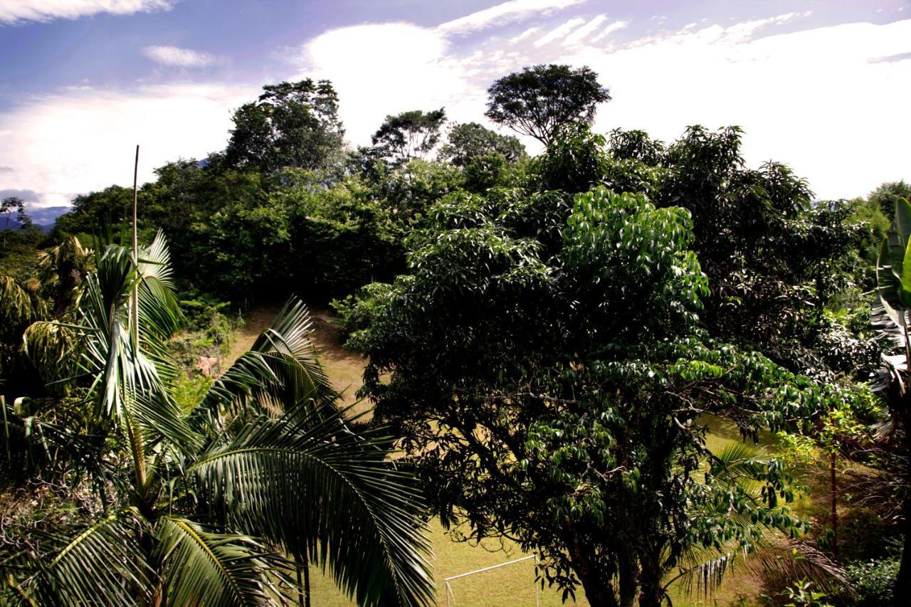 Pousada Flor De Penedo เปเนโด ภายนอก รูปภาพ